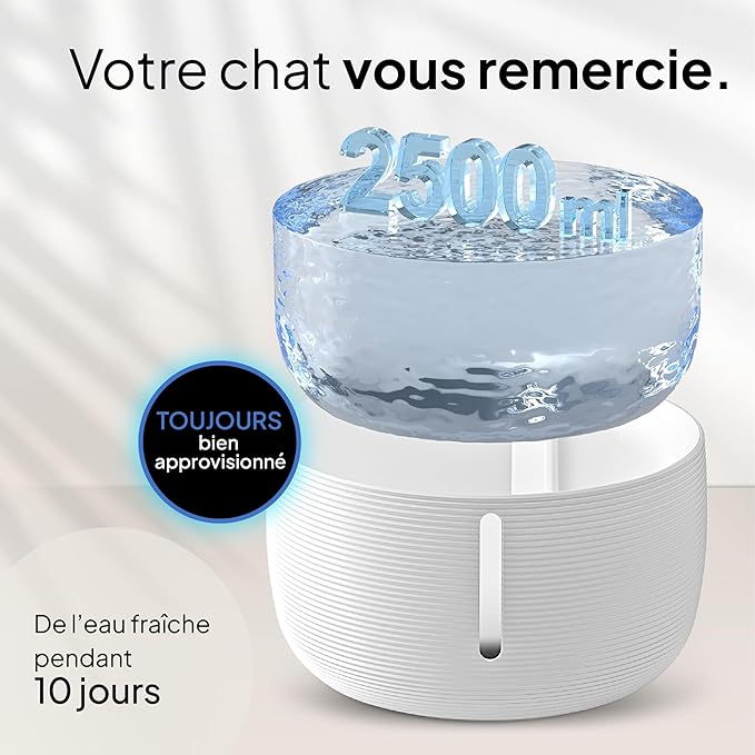 Fontaine à Eau pour chat - La source féline