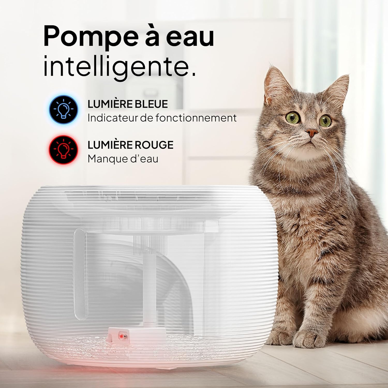 Fontaine à Eau pour chat - La source féline